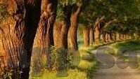 足球比分什么差-足球比分之差，赛场风云的数字密码与情感涟漪
